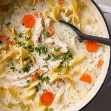 Creamy Chicken Noodle Soup