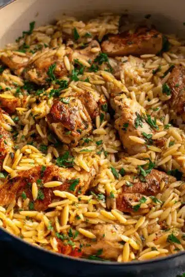 One Pot Garlic Butter Chicken Orzo