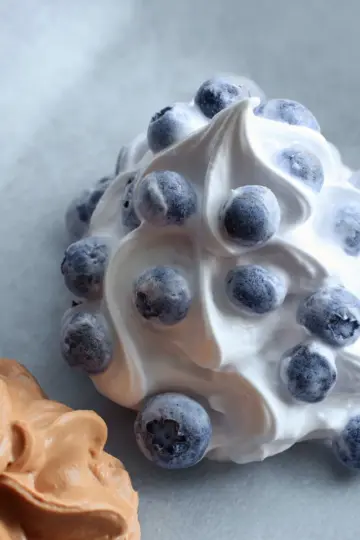Frozen Yogurt Covered Blueberries